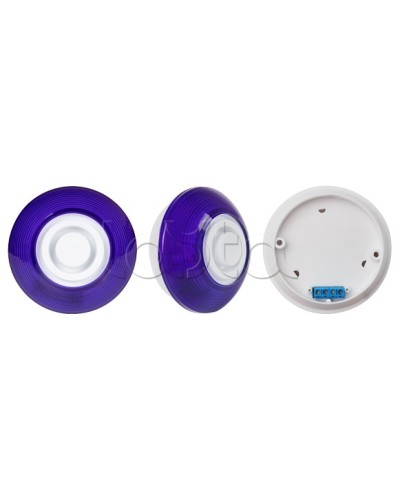 Оповещатель комбинированный SLT Марс 12-КП (строб, син) в Орле Оповещатели Pintop.ru