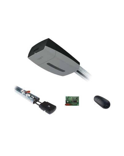 Комплект автоматики для секционных ворот Came V10DMS2.25 KIT (до 2,25 м до 18 м2) в Орле Автоматизация ворот Pintop.ru