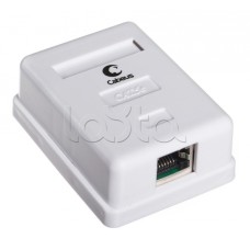 Розетка компьютерная RJ-45(8P8C), категория 5e, экранированная, одинарная, внешняя, Dual IDC(110&Krone type) Cabeus WS-8P8C-Cat.5e-SH-1